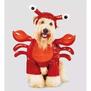 Dog Pet Lobster Costume Large